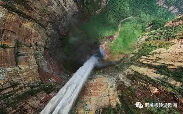 动物滑动拼图